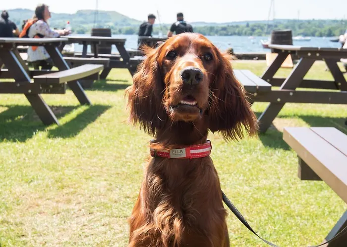 The Windermere At The Wateredge Inn, Hotel Ambleside